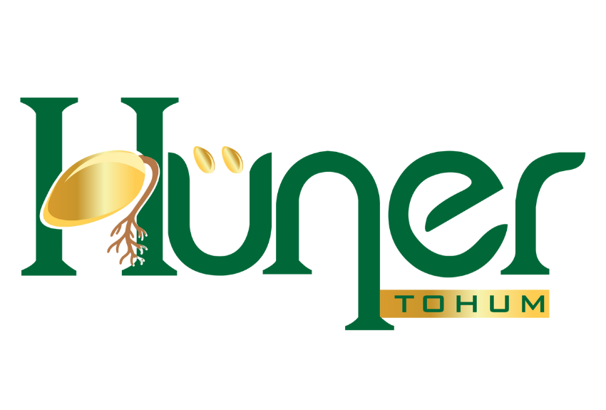 Hüner Tohum Logo